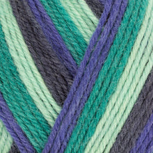 Load image into Gallery viewer, West Yorkshire Spinners ColourLab DK