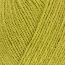 Load image into Gallery viewer, West Yorkshire Spinners ColourLab DK