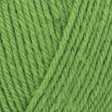 Load image into Gallery viewer, West Yorkshire Spinners ColourLab DK