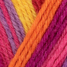 Load image into Gallery viewer, West Yorkshire Spinners ColourLab DK