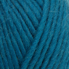 Load image into Gallery viewer, West Yorkshire Spinners Re:Treat Chunky Roving