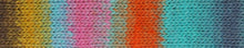 Load image into Gallery viewer, Noro Kureyon