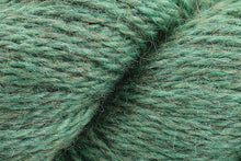 Load image into Gallery viewer, Rowan Moordale