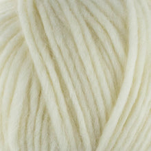 Load image into Gallery viewer, West Yorkshire Spinners Re:Treat Chunky Roving