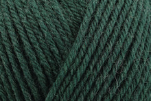 Load image into Gallery viewer, Rowan Pure Wool Superwash Worsted