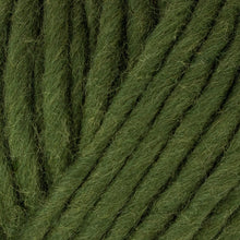 Load image into Gallery viewer, West Yorkshire Spinners Re:Treat Super Chunky Roving