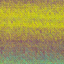 Load image into Gallery viewer, West Yorkshire Spinners Re:Treat Twist Chunky
