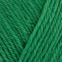 Load image into Gallery viewer, West Yorkshire Spinners ColourLab DK
