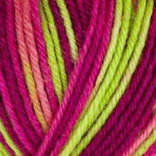 Load image into Gallery viewer, West Yorkshire Spinners ColourLab DK
