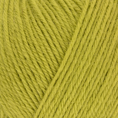 West Yorkshire Spinners ColourLab DK