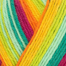 Load image into Gallery viewer, West Yorkshire Spinners ColourLab DK

