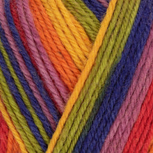 Load image into Gallery viewer, West Yorkshire Spinners ColourLab DK
