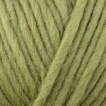 Load image into Gallery viewer, West Yorkshire Spinners Re:Treat Super Chunky Roving

