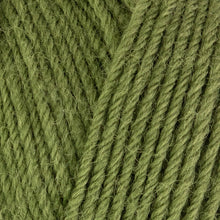 Load image into Gallery viewer, West Yorkshire Spinners ColourLab DK
