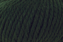 Load image into Gallery viewer, Rowan Big Wool
