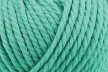 Load image into Gallery viewer, Rowan Big Wool
