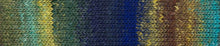 Load image into Gallery viewer, Noro Silk Garden
