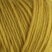 Load image into Gallery viewer, West Yorkshire Spinners Re:Treat Chunky Roving

