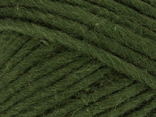 Load image into Gallery viewer, West Yorkshire Spinners Re:Treat Chunky Roving
