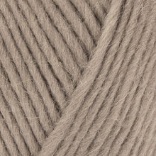 Load image into Gallery viewer, West Yorkshire Spinners Re:Treat Chunky Roving
