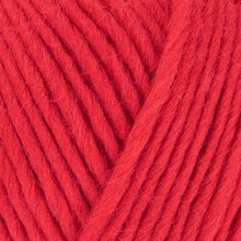 Load image into Gallery viewer, West Yorkshire Spinners Re:Treat Chunky Roving
