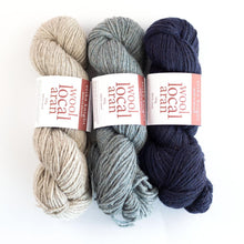 Load image into Gallery viewer, Erika Knight Wool Local Aran
